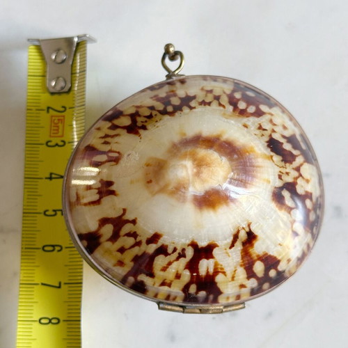 Vintage French Coin Purse Handmade Natural Shell Metal used