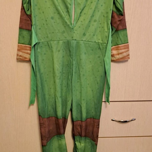 Turtles carnival costume used without mask