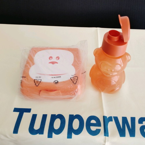 Tupperware kids sets new for sandwiches and water bottles