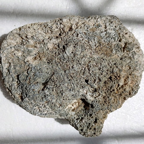 Rock used suitable for collection, dimensions 10x14