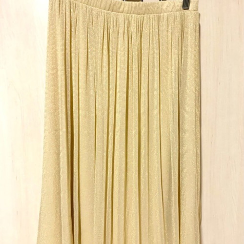 Zara skirt gold like new, tulle with lining, size M