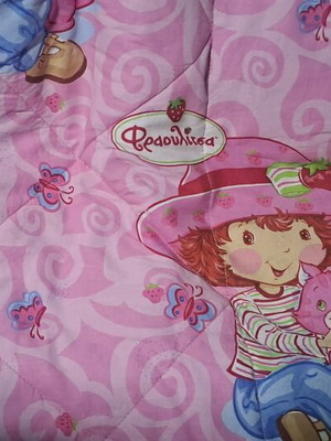 Strawberry Child Quilt for Single Bed Like New