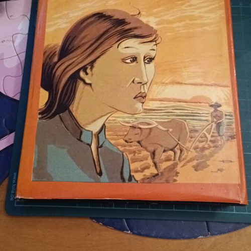 The Mother by Pearl Buck like new, classic story set in China