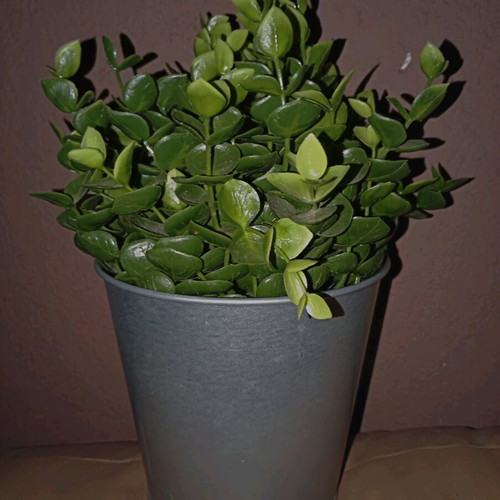 Artificial plant ÅKERBÄR IKEA like new in galvanized metal pot