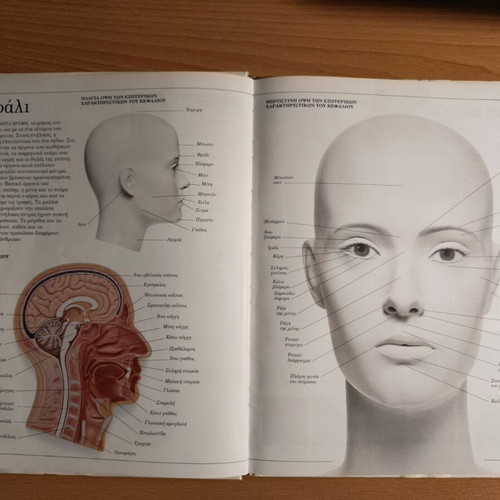 The Human Body panoramic dictionary used, Greek language