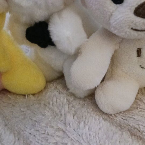 Plush toys set of 3 new