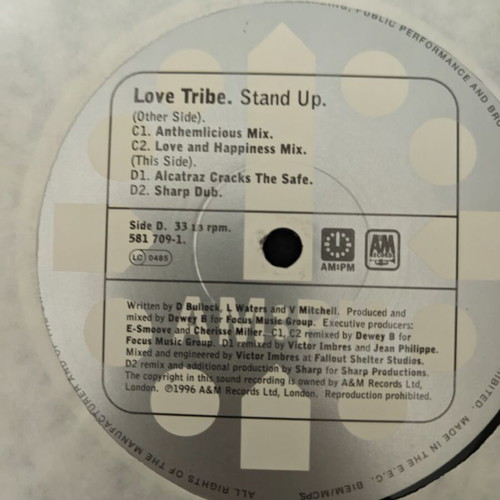 Love Tribe Stand Up 12" vinyl record