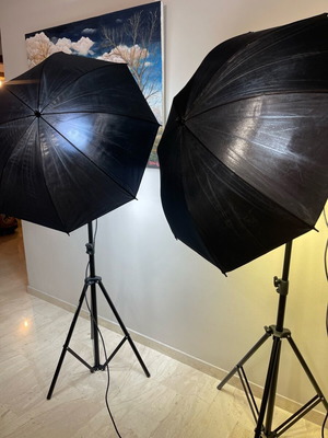 Walimex Pro Daylight 250S Impression L σετ φωτισμού φωτογραφίας καινούργιο