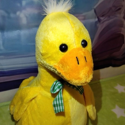 Plush duck used, 53 cm