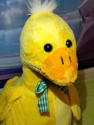 Plush duck used, 53 cm