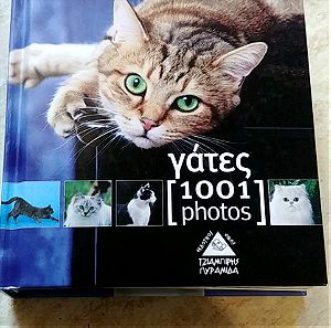 Γάτες 1001 φωτογραφιες