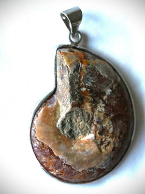 Fossil pendant 10,000 years old, handmade, 925 sterling silver