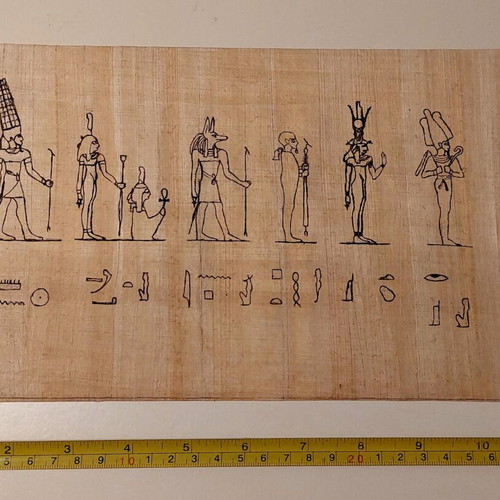 Egyptian papyrus new