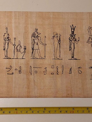 Egyptian papyrus new