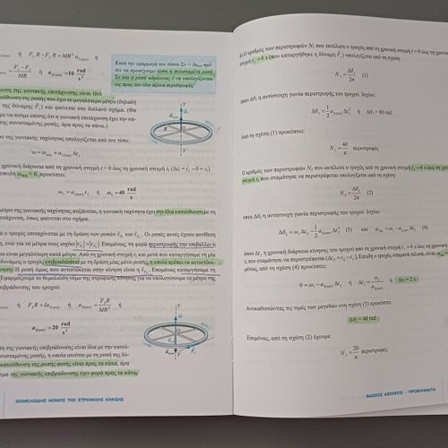 Savvalas Physics Book for Grade 12 High School Like New