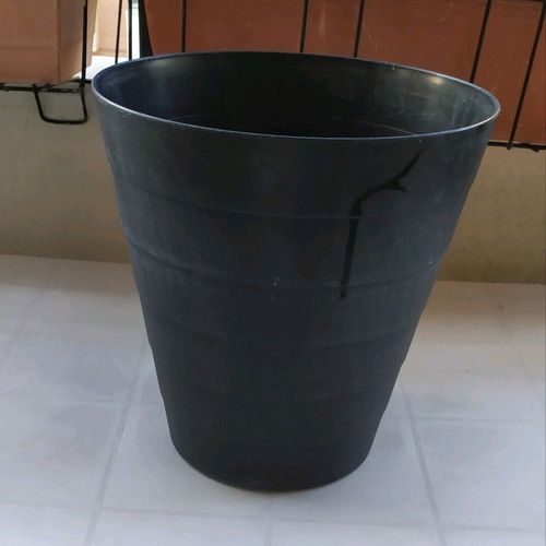 Plastic flowerpot used, black color, height 31 cm