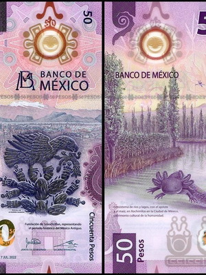 Mexico 50 Pesos 2021 polymer banknote new