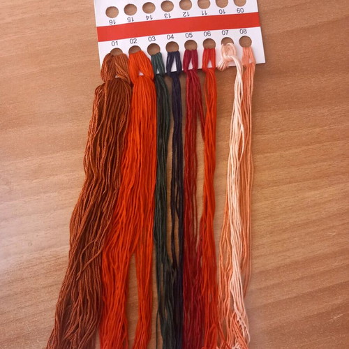 Embroidery kit new with instructions in English