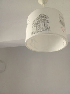 Paris ceiling light for room like new