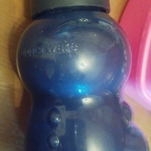 Tupperware bottle and Disney food container used, gift plastic fork