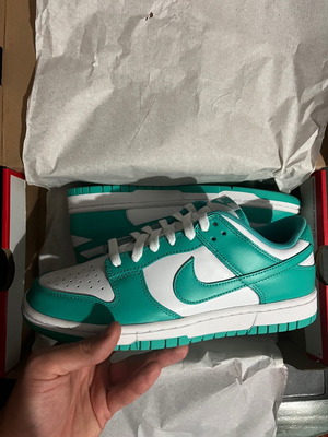 Nike Dunk Low Clear Jade new, size 40, multicolor