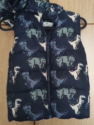 H&M sleeveless kids spring jacket like new with dinosaur design