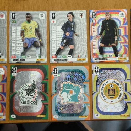 Panini Adrenalyn World Cup 2026 Sticker Collection new