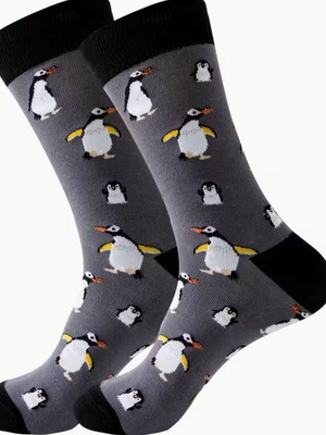 Socks with penguins new, modern grey background