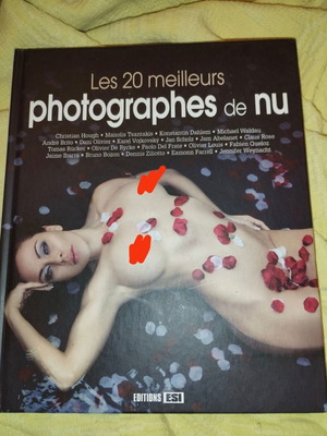 Les 20 meilleurs photographes de nu book like new, French