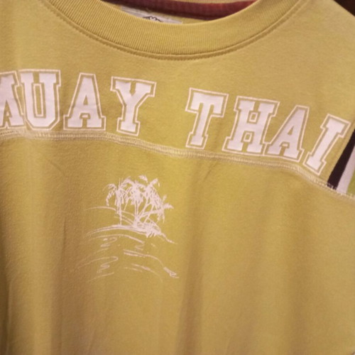 Vintage 00's T-shirt with Muay Thai print, like new, size M
