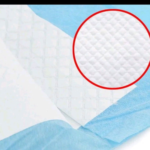 Absorbent pet leak diaper, pack of 10, single use