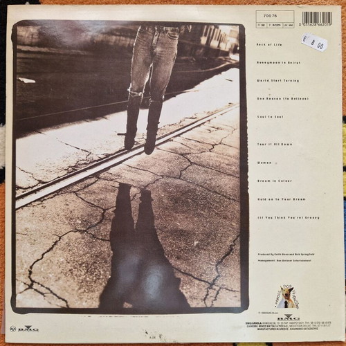 Rock Of Life LP by Rick Springfield like new, Rock