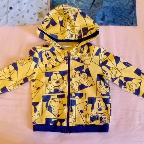 Boys' summer clothes pack of 13, size 2-3, like new, includes Ralph Lauren shorts and Mickey Mouse sweatshirt