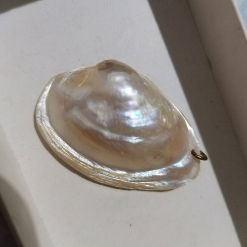 Hanging figure The Nativity new in shell