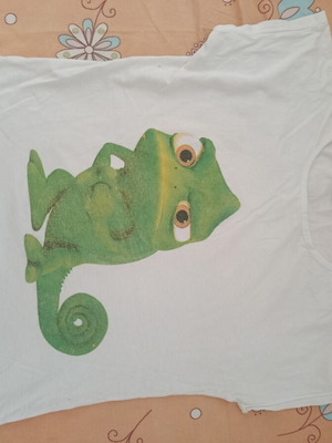 T-shirt used, ideal for pajamas