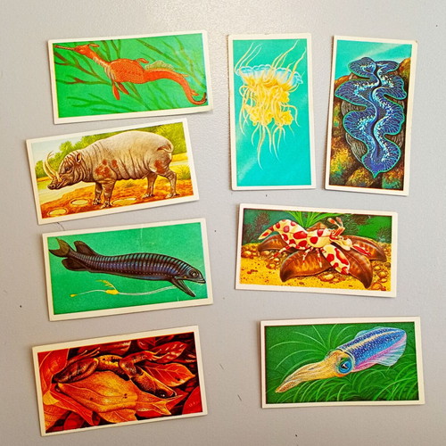 Brooke Bond Tea Picture Cards 1986 vintage set of 8, like new