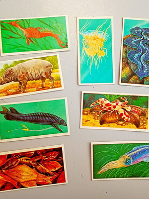 Brooke Bond Tea Picture Cards 1986 vintage set of 8, like new