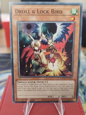 Droll & Lock Bird Yu-Gi-Oh! card