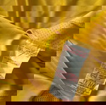  ΑΕΚ εντός έδρας 2007/08