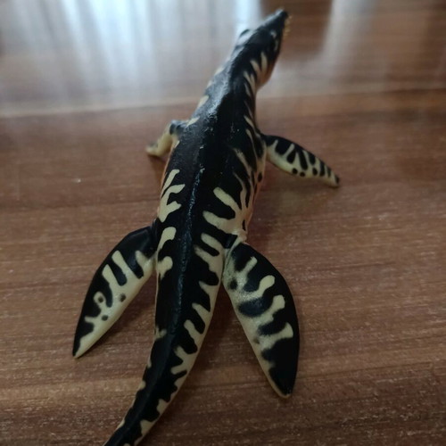 Liopleurodon sea dinosaur used, length 17cm
