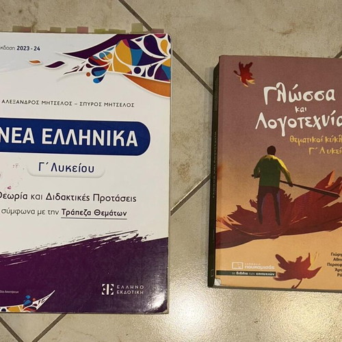 Examination aids for 3rd grade Lyceum, set of 2, like new