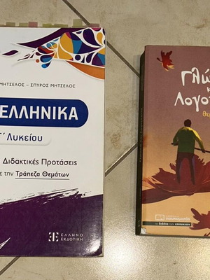 Examination aids for 3rd grade Lyceum, set of 2, like new