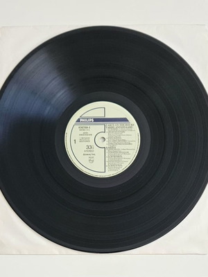 Party On The Rocks vinyl record used, first disc from triple album