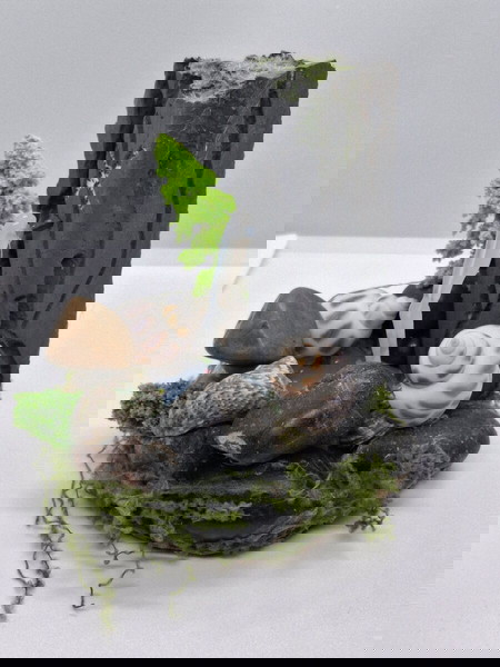 Fountain decoration