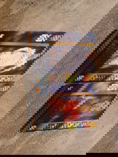 panini adrenaline