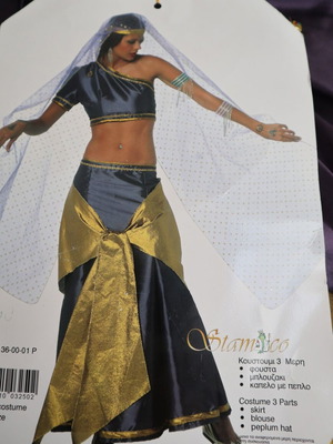 Adult Indian Carnival Costume new, one size