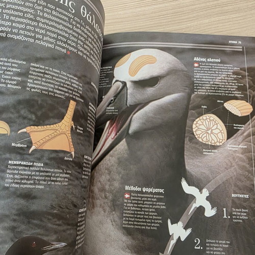 Atlas of Sciences Birds illustrated guide like new