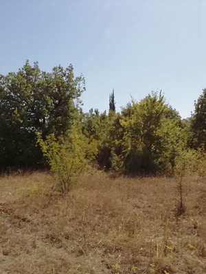 Αγροτεμάχιο 500 τ.μ. με πανοραμική θέα στη Γραβιά Φωκίδας