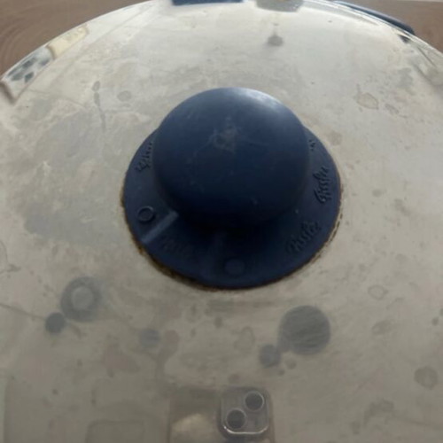 Fissler pot