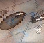  Είδη Κουζίνας : Προστατευτικό Τροφίμων Ø29X10 cm / Στραγγιστήρι Μαχαιροπήρουνων / Αποφλοιωτής 3 σε 1